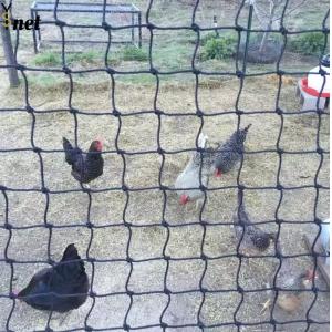 Black Polyethylene Mesh Netting Customized Bird Net For Vegetable Garden