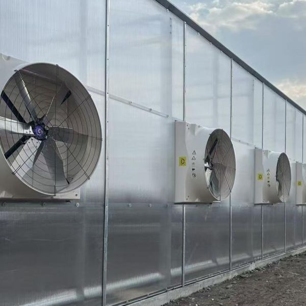 Heavy Duty Industrial Ventilation Fan Max Airflow 45000m³/h Greenhouse