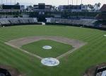 Green Baseball Artificial Turf , Synthetic Turf Baseball Fields