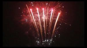 China 98 Shots New Year Petard Pyrotechnic Consumer Cake Fireworks Customized factory