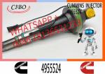 Engineering Machinery QSK19 Truck Engine System Accessories 4955524 Diesel Fuel