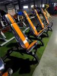 Befreeman Super Adjustable Metal Gym Bench High Quality Indoor Fitness Equipment