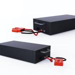 LiFePO4 Lithium Battery Customized 24V 36V 48V 60V 30AH Li-Ion Battery 40AH 60AH