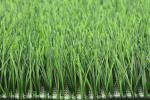 Field Woven Grass Artificial Soccer Turf Football Grass Carpet For Sale