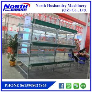 China Paket Peralatan Kandang Ayam factory