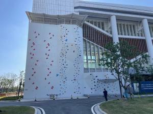 China Theme Park Speed Climbing Wall Outdoor Customized Wall Climbing For Adults factory