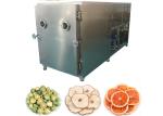 100KG Versatile Alat Freeze Dryer Vegetable Freeze Drying Machine