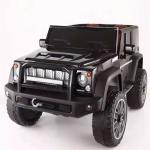 12V Two Seater Ride On Toy for 9 Year Old Kids Remote Control and Music