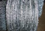 Barbed Wire 2 Strands 4 Points Eco-friendly African Double Twist Razor Wire