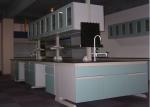 Physics / Science Laboratory Workbench Flexible Lab Steel And Wood Furniture