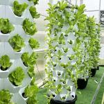 65L 12 Layers 96 Plant Holes Eco Friendly Indoor Hydroponic System With 6-Light