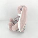 OAINI OEM ODM PP Cotton Stuffed Animal Toys Planet Friendly
