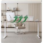Modern Design Style Height Adjustable Dual Motor Stand Up Desk for Home Office