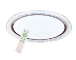 LED Ceiling lamp Powered by Tuya smart(LD-KYSR30-450)