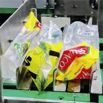 Stainless Steel Frame Modular Conveyor Customizable PLC Control Accurate