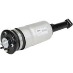 Front Land Rover Air Suspension Shock Kits Assembly W/O ADS For Discovery 3
