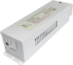 China 3 CCT Adjustable Emergency LED Panel Light with 85-265V or 12V/24V 80-83Ra CE RoHS TUV Certified factory
