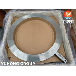 China Spade Paddle / Blanks / Blinds Flanges SA182 F317L / UNS S31703 / 1.4449 B16.48 factory