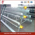 H Type Farming Chick Brooder Cage Full Automatic Feeding System Rose