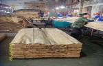 Brown Elm Crown Cut Veneer , 0.3 mm - 0.6 mm Natural Wood Veneer