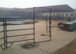 Welded Metal Cattle Fence Panels Australia Standard With Square / Oval / Round
