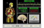 Thai Version Quantum Magnetic Resonance Health Analyzer 34 Reports AH-Q9