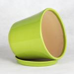 Unique Ceramic Pots For Distinctive And Eye-catching Plant Collection