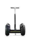 Self Balancing Segway 2 Wheel Electric Scooter Ecorider 2000w With CE Certificat