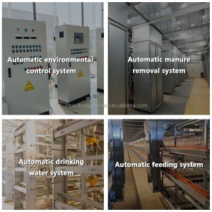 Automatic Battery Day Old Chicks Poultry Equipment Automated Pullet Brooding