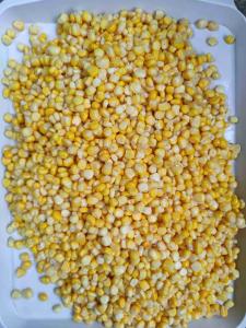 China Manual Selection Canned Sweet Corn Ready To Eat Super Sweet Variety factory