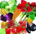 TCA Fruit And Vegetables IQF Freezing Line Frozen Vegetable Green Bean Sweet