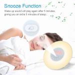 Touch Control DC5V Natural FM Wake Up Alarm Clock Light Sunset Simulation