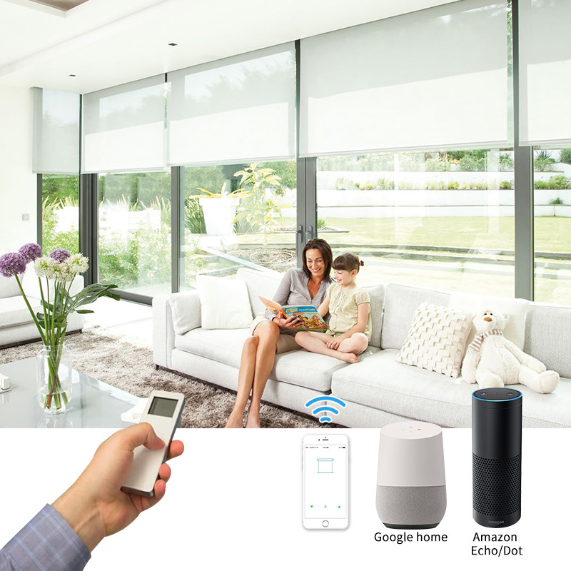 Hard Wired 12V DC 2 Wire Smart Curtain Motor Electric Roller Blind/Shade Tubular Motor Kit