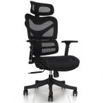 2017 hot design ergonomic chair cool mesh executive chair office furniture