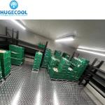 Sliding Door Fish Meat Vegetables Cooler Freezer Chiller Cold Room 220V/380V