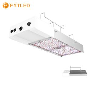 China Floriculture AC277V High Bay Led Light Interchangeable Lenses T828 factory