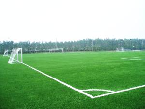 China Landscaping Football Field Artificial Turf Fake Grass SGF ISO9001 Certification factory