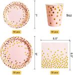 DT2096 Disposable Party Tableware