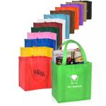 Promotional Printing Non Woven 80GSM Reusable Shopping Bag