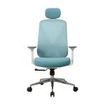 Blue ergo task office chair Nylon Ergo Executive Mesh Chair