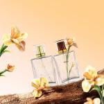 50ml Transparent Glass Clear Rectangle Bottle With Transparent Lid For Cosmetic