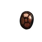 CE ISO CCC Certified 10-400sqmm Nyy/N2XY Copper Conductor Power Cable with PVC