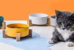 Unique Ceramic Pet Feed Bowl With Wooden Stand Cat Food Drinking Bowl Dish