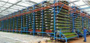 China W-Frame Upward Circulating Vegetable Seedlings Cultivating Machine for Vertical Farm factory