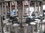 Automatic Brewery Production Line Drink Rinsing Filling Capping Monoblock