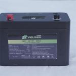 100ah 12v Lithium Lifepo4 Battery Golf Cart Deep Cycle Lead Acid Replacement