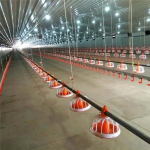 China Stainless Automatic Broiler Feeding System 50Kg Feed Hopper For Poultry factory