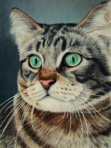 China DIY Diamond Painting Animal Series diamond cross stitch kit Inlaid decorative painting Unicom factory