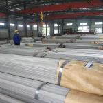 3# - 20# Grade 316L / 1.4404 / S31603 Stainless Angle Bar