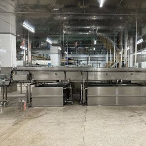 Customized Full Automatic Canned Strawberry Processing Line with 500 Sets/Year